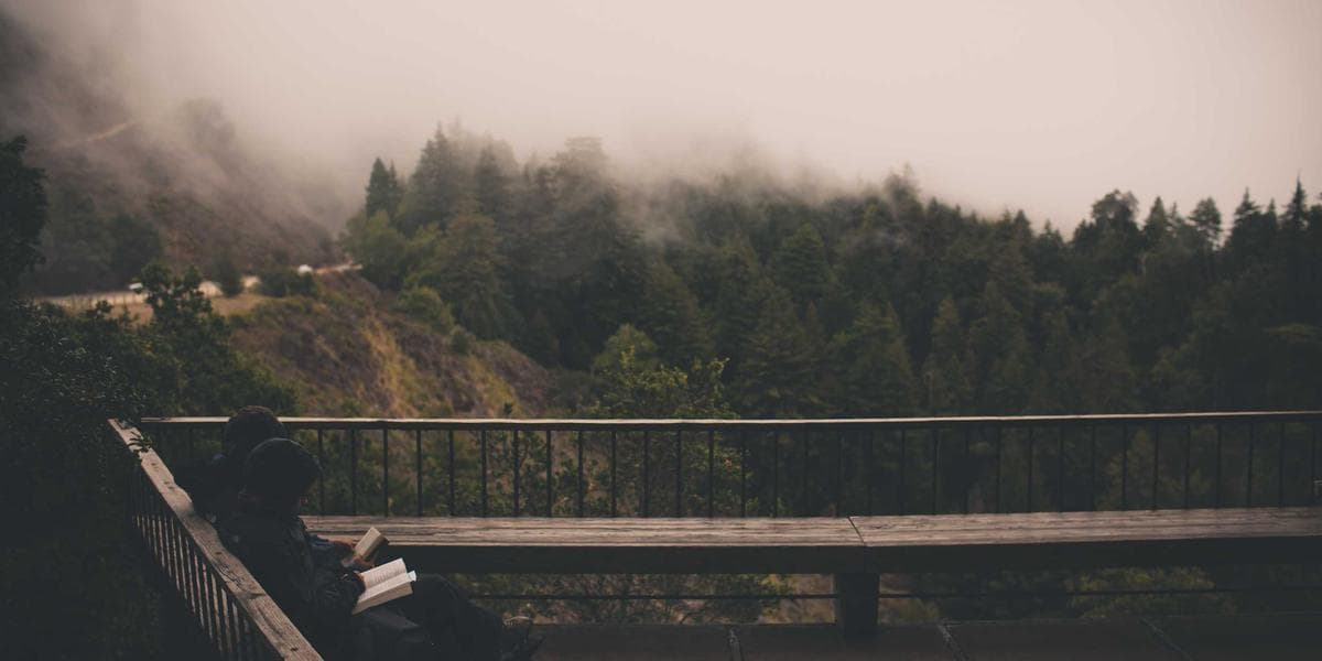 Terms and Conditions